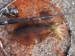 IMG_0252.JPG