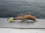 IMG_0315.JPG
