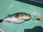 IMG_0408.JPG