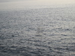 IMG_0465.JPG
