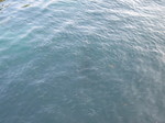 IMG_0470.JPG