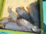 IMG_0492.JPG