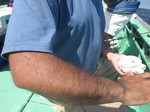 IMG_0669.JPG