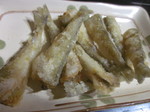 IMG_0674.JPG