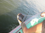 IMG_0682.JPG