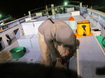 IMG_0784.JPG