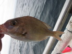 IMG_0809.JPG
