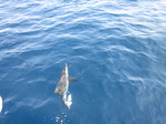 IMG_1609.JPG